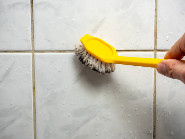 Professional Mold Removal in Nappanee, IN