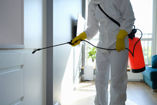 Best Mold Testing  in Nappanee, IN