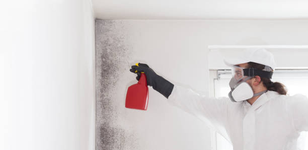 Crawl Space Mold Removal in Nappanee, IN