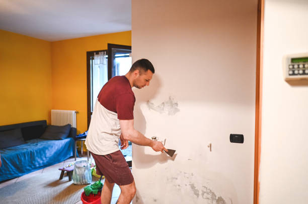 Best Mold Remediation  in Nappanee, IN